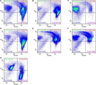 The Synergistic Effect of Mud Crab Antimicrobial Peptides Sphistin and Sph12−38 With Antibiotics Azithromycin and Rifampicin Enhances Bactericidal Activity Against Pseudomonas Aeruginosa